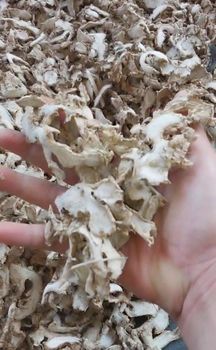 Dried ginger - Dhanesa rembulan utama - Indonesia