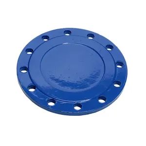 Leak Proof Stainless Steel Flange for Pharmaceutical Industry Pipeline - Shanxi Jingdong Pipe Industry Co., Ltd. - China