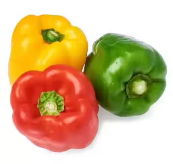 Fresh Bell Pepper (Capsicum) Grade A Shelf Life 2–3 Weeks Size 150–300g Per Piece Storage Temperature 7–10°c Packaging 5kg / 10kg Cartons, bag - TRADE NEPAL LLC - United States