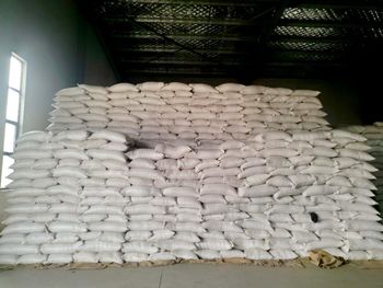 Soyabeans - ESKAY-ZION CAPITALS - Nigeria