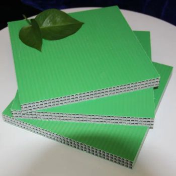 Construction Materials Formwork Workform Fenolic Type Flat Material PP Origin China Model NO. BZ-PP Trademark Beizhu Certification - Shanxi SUFENG New Material Technology Co., Ltd. - China