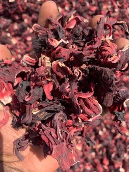 Hibiscus Flower - Mairoba Import and Export Ltd - Nigeria
