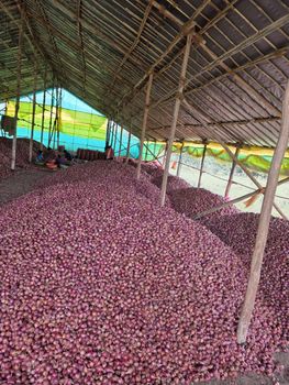FRESH ONIONS – product photo, Fresh Baby Onions products found from trusted suppliers, wholesalers, manufacturers & exporters Listing