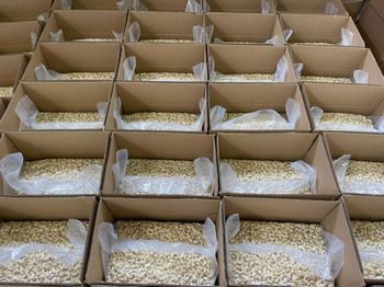 Premium Cashew nut kernels - Afrinox Foods - United Arab Emirates