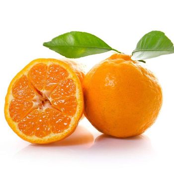 High Quality Fresh Mandarin Orange Fresh Tangerine Ponkon Organic Fresh Citrus Fruit From CN - Zigui County Qugu Food Co., Ltd. - China