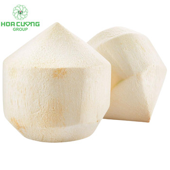 Fresh Coconut Place of Origin Viet - HOA CUONG AGRICULTURAL JSC  - Vietnam