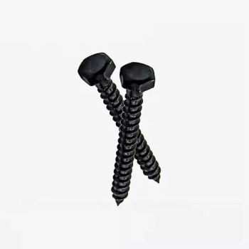 Stainless Steel Screws, Black Oxide Carbon Steel Wood Screws/Hex Lag Screws/Coach Screws - Bolnut Fastener Co., Ltd - China