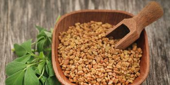 Fenugreek seed Purity ≥99% Origin india Foreign Matter ≤1% Moisture Content ≤8% Freshness Level Fresh Pesticide Residue Compliant With Eu Mrl / Us Fda Standards (lab-tested) - AL SAAJ EXPORT & IMPORT LLP - India
