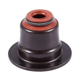 Valve Oil Seal Valve Stem Seal Kit for BMW E53 X5 E63 E65 E70 X5 E71X6 E87 E9o N42 N46 N62 - Quanzhou Shengda Rubber Products Co., Ltd. - China