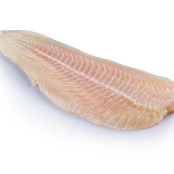 Best Selling Item Frozen Pangasius/ Basa fish Fillet From VietNam Factory - TANIS IMPORT & EXPORT COMPANY LIMITED - Vietnam