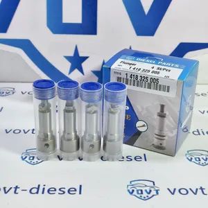 Plunger 1 418 325 005 Element Plunger 325 005 Auto Parts 1418325005 - Fuzhou Ruida Machinery Co., Ltd. - China
