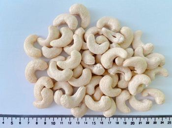 Cashew Nuts WW180 – product photo, Raw Cashew Nuts products found from trusted suppliers, wholesalers, manufacturers & exporters Listing