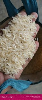 Basmati Rice Long Grain - Shri Radhe Radhe Trading Co (Brijone Wale) - India