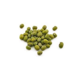 Organic green mung beans 100% natural high grade vigna beans for sprouting from Uzbekistan manufacturer beans - SULTAN AGRO IMPEKS LLC - Uzbekistan