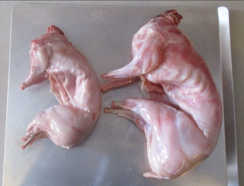 Premium Frozen Rabbit Meat – Farm-Raised, Halal Certified, Bulk Wholesale & Export Supply - TRADE NEPAL LLC - United States