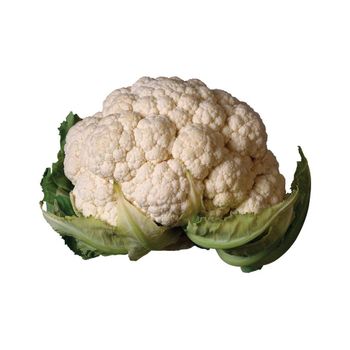 new crop fresh cauliflower factory low price white cauliflower - afrivett@gmail.com - South Africa