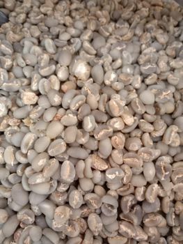 Robusta Coffe bean – product photo, Roasted Robusta Coffee products found from trusted suppliers, wholesalers, manufacturers & exporters Listing