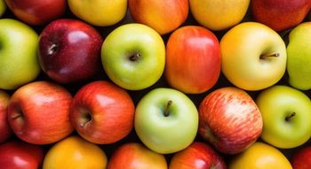 Fresh Apples from South Africa - Mundus Exports Pty Ltd - South Africa