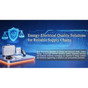 Inspection services for China's energy battery industry Origin China Trademark TEN Transport Package File Model NO. Inspection - Tianjin Tedian Energy Technology Co., Ltd - China