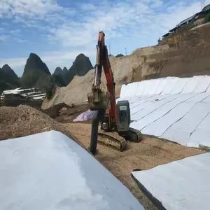 Premium Geosynthetic Clay Liner for Landscape and Environmental Protection - Shandong Tianren New Materials Co., Ltd. - China