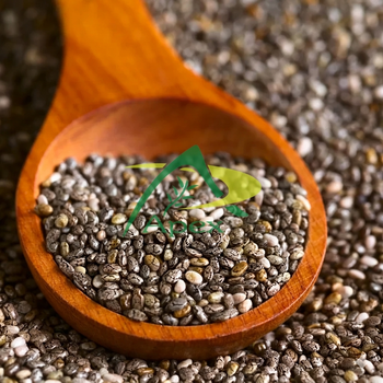 Raw Chia Seeds, Chia Seeds bulk supplier from india, Chia Seed ,Chia Seeds - APEX INTERNATIONAL - India