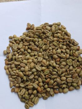 Premium Ethiopian Green Coffee Beans Decaffeinated No Bean Type Arabica Degree of Processing Raw - ​Abdulwedud Abdulfetah Coffee Export - Ethiopia