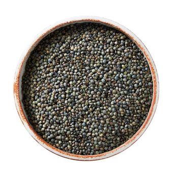 Green Lentils For International Food Ingredient Buyers With Carefully Processed Grains And Uniform Size Selection - TOSOH INTERNATIONAL - South Africa