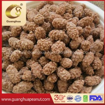 Snack Coated Peanut From Guanghua - Shandong Guanghua Agricultural Product Co., Ltd. - China