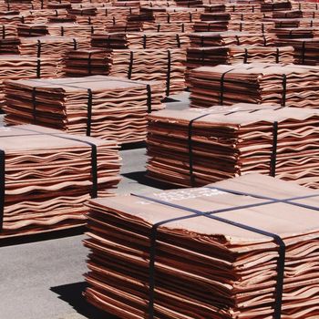 99% Pure Copper Plates Polished Bronze Electrolytic Copper Cathodes Premium Quality Wholesale Welding Cutting from AGRONOVA 99% Pure Copper Plates Polished Bronze Electrolytic Copper Cathodes Premium Quality Wholesale Welding Cutting - AGRONOVA - United States