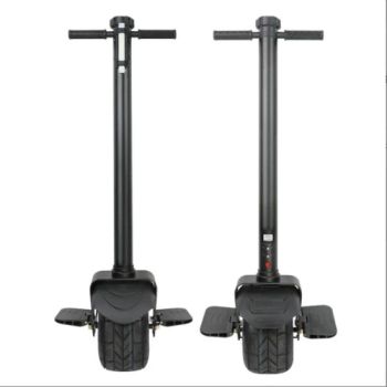 800W Self Balancing Electric Scooter Unicycle One Wheel Two EEC Coc Citycocole - Fujian Dazhen Sporting Goods Co., Ltd. - China