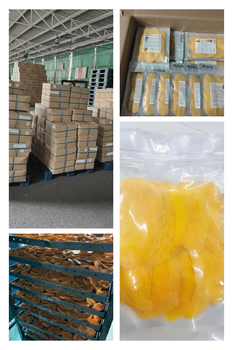 Premium Soft-Dried Mango Slices - Natural Sweetness Origin Viet Nam Fruit Type Apple, Banana, Mango, Other Features No Added Sugar, No Artificial Flavors, Organic, Without Colourants - Expad - Vietnam