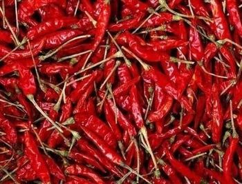 Red chill from MUKHYADAL EXPORT Red chill - MUKHYADAL EXPORT - India