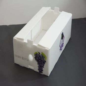 Custom Fruit Vegetable Packaging Cartons Boxes Cherry Mango Packing Folding Corrugated Boxes - Shandong lile New Material Co., Ltd - China