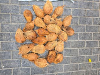 Agriculture, Food & Beverage – product photo, Food Beverage products found from trusted suppliers, wholesalers, manufacturers & exporters Listing