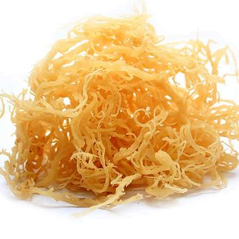 EUCHEUMA COTTONII FOR HEALTH / IRISH SEA MOSS PHYSIOLOGICAL HEALTH BENEFITS / ROASTED DRY SEAWEED EXPORT FROM EXPAD VIETNAM - EXPAD IMPORT AND EXPORT COMPANY LIMITED - Vietnam