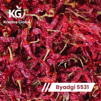 byadgi dry red chilies from Kredos Globx byadgi dry red chilies - Kredos Globx - India
