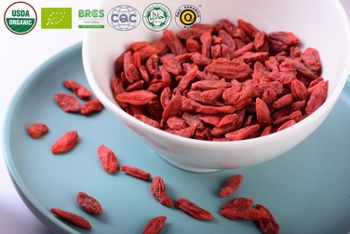 organic goji berry - ningxia rubygoji group - China