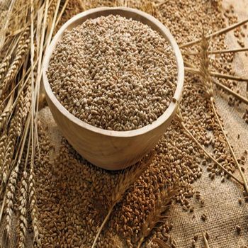 WHEAT BRAN - AGRO AFRIQUE COMPANY LIMITED - Tanzania