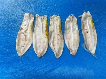Frozen sea bass fish maw Cut Other Freshness Level Frozen Features No Artificial Flavors, No Preservatives, Organic - Oceanpick pvt ltd - Sri Lanka