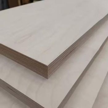birch plywood - 2016 - China