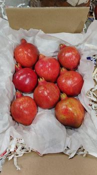 Fresh Pomegranate - Evermark Industries - India