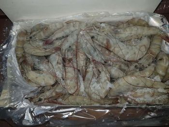 Shrimp – product photo, Shrimp products found from trusted suppliers, wholesalers, manufacturers & exporters Listing