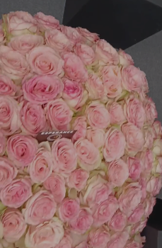 flowers - FLORAL HAUL - Kenya