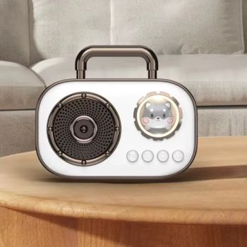 Wireless Speaker Waterproof Speaker Outdoor Party Sound Portable Wireless Speakers - Skylark Network Co., Ltd. - China