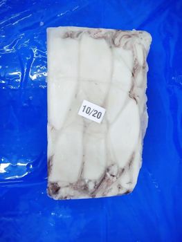 squid - amigoseafood co - India