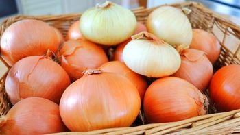 Fresh Onions For Restaurant Use Offering Natural Taste Firm Bulbs And Consistent Quality Suitable - EAST LAND PROPERTIES - Tanzania