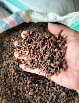 Lalpari Clove from PT. Komoditas Asli Indonesia Lalpari Clove - PT. Komoditas Asli Indonesia - Indonesia