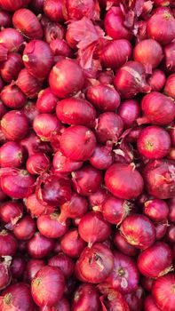 Red onion – product photo, Dried Red Onion products found from trusted suppliers, wholesalers, manufacturers & exporters Listing
