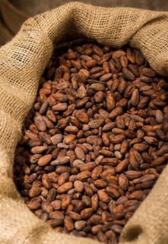 Natural Cocoa Liquor Mass 100% West Africa Fermented Cocoa Beans - ETS TRANGUS ENTERPRISES - Cameroon