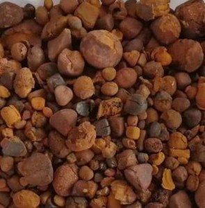 DRIED OX/Cow Gallstone – product photo, Top Quality Products